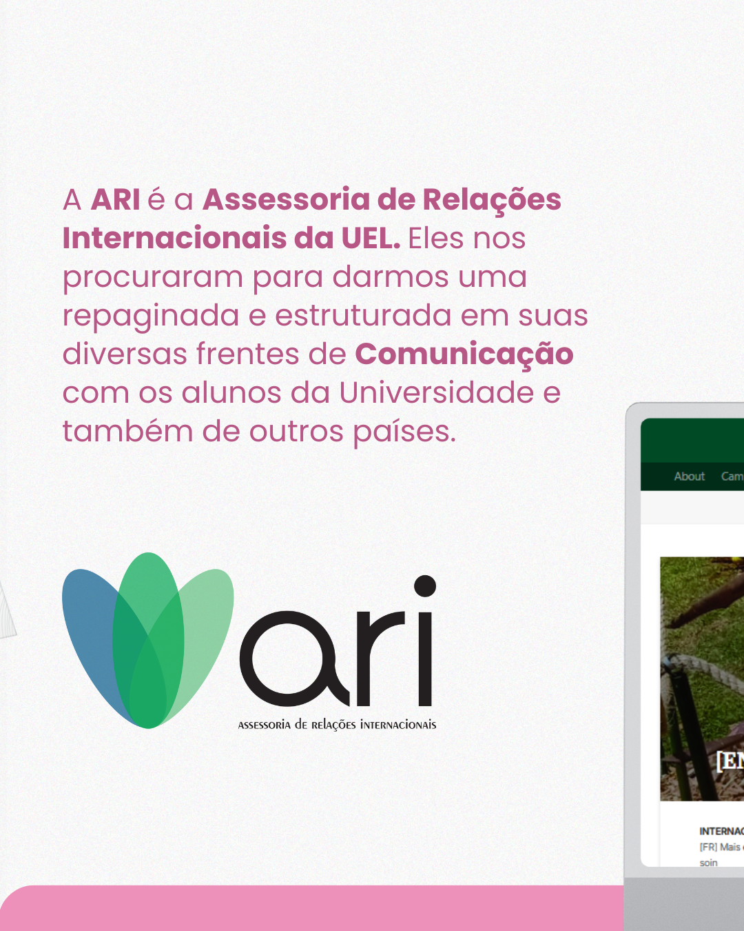 ari02.png